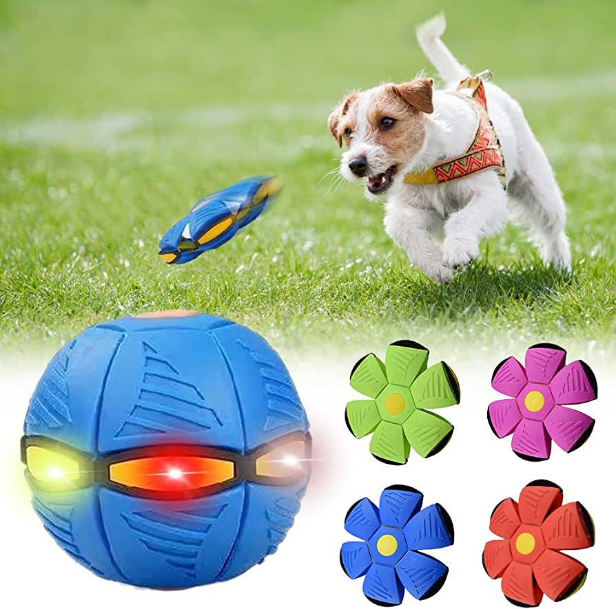 Robson's Pet Co - Dog Frisbee
