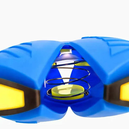 Robson's Pet Co - Dog Frisbee