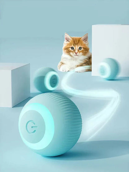 Robson's Pet Co - Interactive Ball