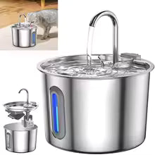 Robson's Pet Co Dog and Cat filtered water fountain!