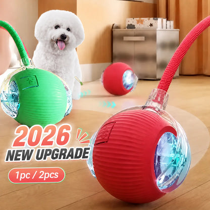 New Dog Interactive Ball Toy,Automatic Rolling Dog Ball Rechargeable,Smart Puppy Interactive Toy,Intelligent Balls Toy for Dogs