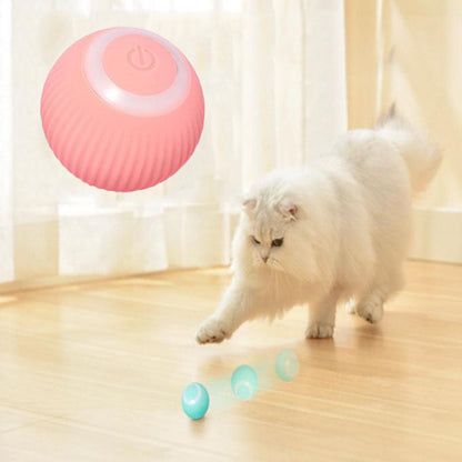 Robson's Pet Co - Interactive Ball