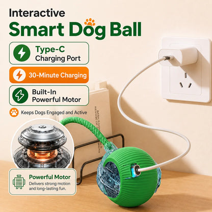 New Dog Interactive Ball Toy,Automatic Rolling Dog Ball Rechargeable,Smart Puppy Interactive Toy,Intelligent Balls Toy for Dogs