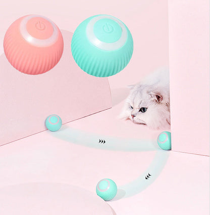 Robson's Pet Co - Interactive Ball