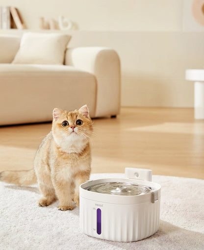 Wireless Smart Sensor Pet Water Fountain with Ceramic Plate